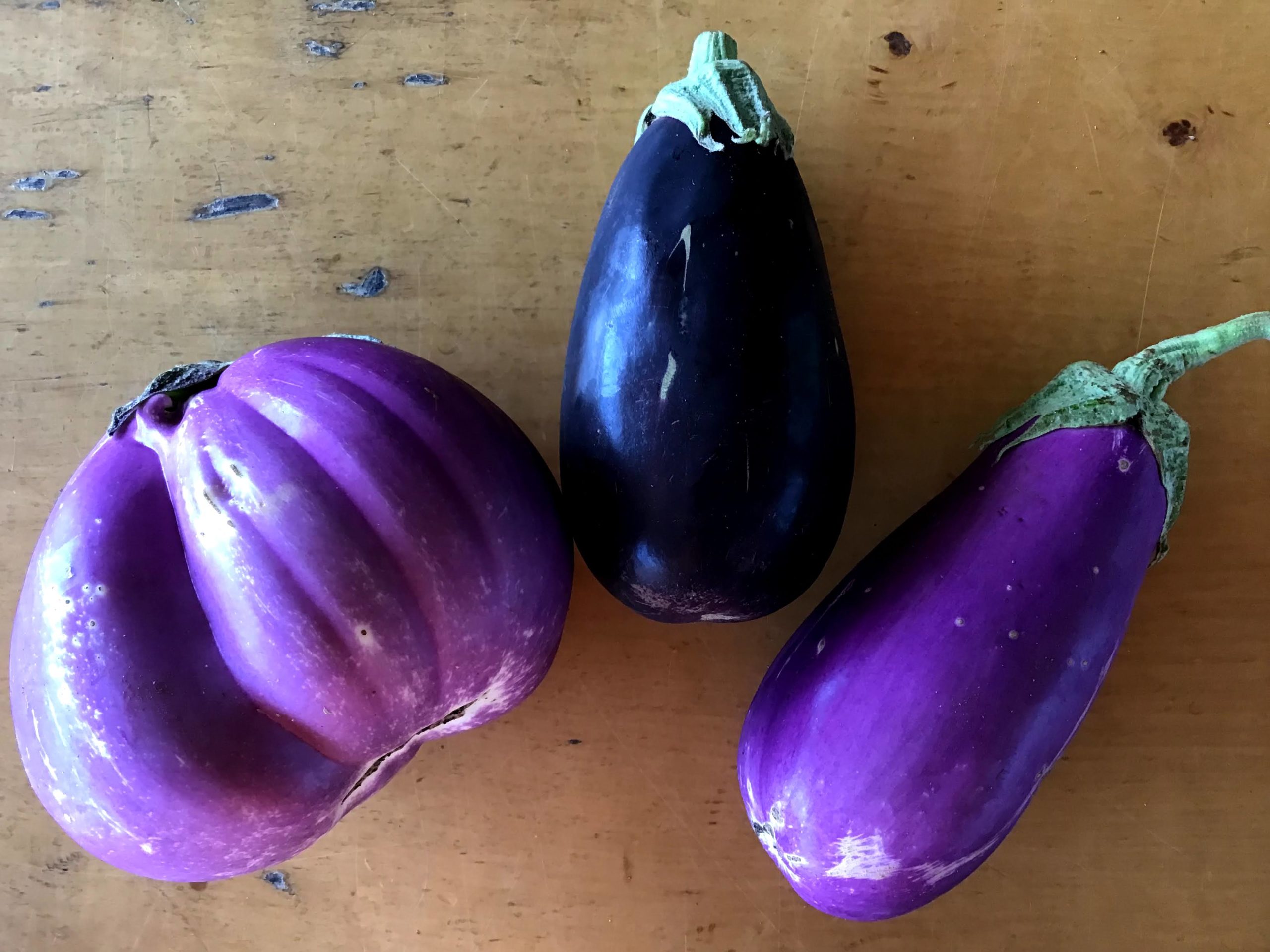 Eggplant, European – Glade Road Growing