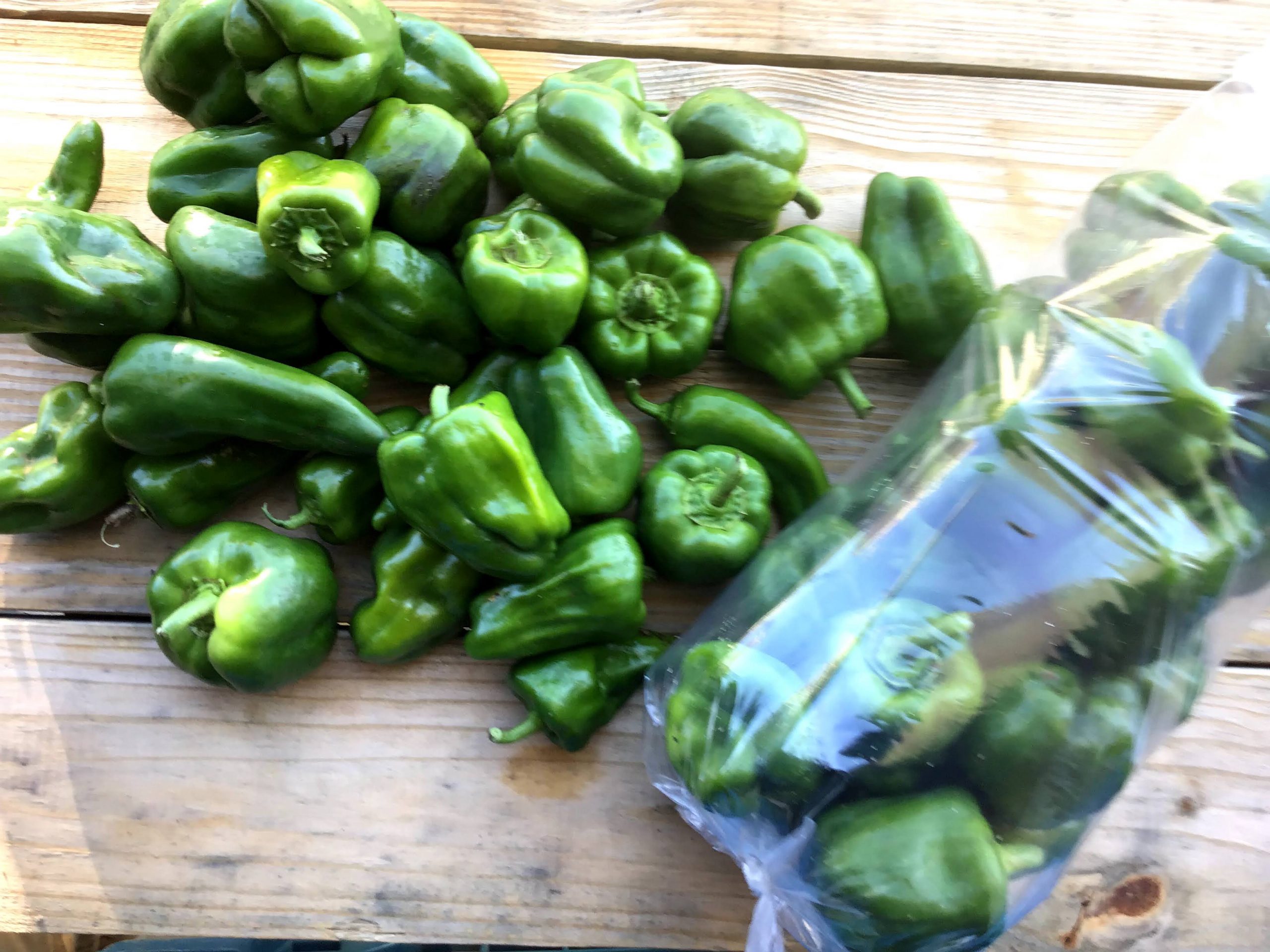 GREEN BELL PEPPERS FRESH FRUIT PRODUCE VEGETABLES BY THE POUND